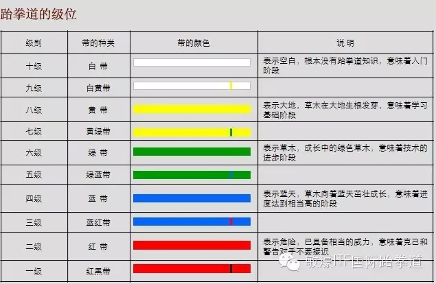 2015年敏濠国际跆拳道考级标准制定